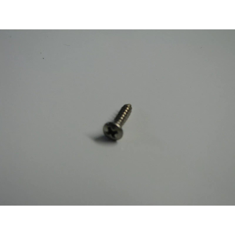Unbranded BACKPLATE TREMOLO COVER STAINLESS STEEL SCREWS (6)