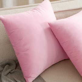 ANRODUO Pack of 2 Velvet Baby Pink Throw Pillows Spring Decorative Pillow Covers Euro Cushion Case Soft Solid Lumbar Cozy Modern Home Decor Pillowcase for Sofa Couch Bed and Living Room 12x20 Inch
