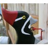 Female Pileated Woodpecker Door Knocker