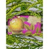 Q Garden Elderflower Pomelo Soap / 큐가든 엘더플라워 포멜로 비누