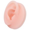 Professional Soft Silicone Ear Model Fake Ear Display Sample Ear