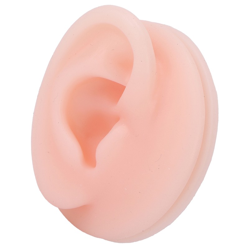 Professional Soft Silicone Ear Model Fake Ear Display Sample Ear