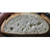 Unbranded THE ORIGINAL SAN FRANCISCO SOURDOUGH STARTER "sally" + many
