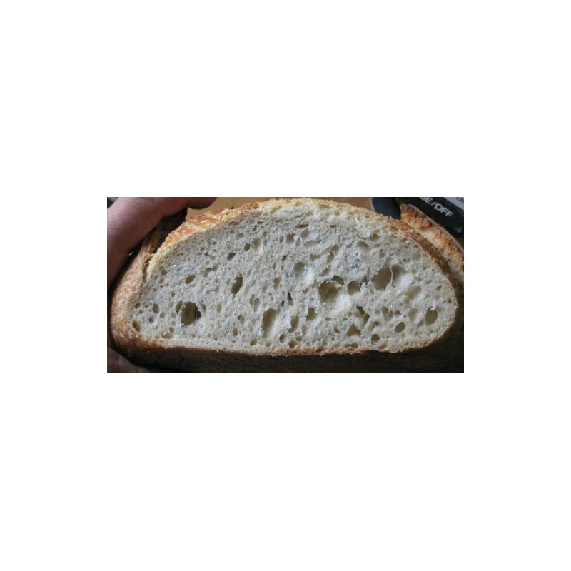 Unbranded THE ORIGINAL SAN FRANCISCO SOURDOUGH STARTER "sally" + many
