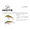 smith lt d-insight 53#21 WS indicator
