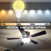 E12 LED Candelabra Bulb 100Watt Equivalent, 4000K Natural White, E12