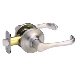 SCHLAGE Dexter by Schlage J10TOR630 Torino Hall and Closet Lever, Satin Stainless Steel