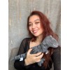Unbranded 🦖 Plush Stuffed Kid Toy Gray Standing Dino Dinosaur