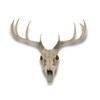 Things2Die4 Lifelike 10-Point Buck Deer Skull Replica - Exquisite Wall