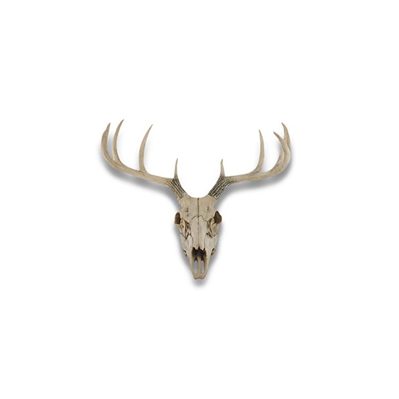 Things2Die4 Lifelike 10-Point Buck Deer Skull Replica - Exquisite Wall