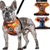 Arnés Pechera Ajustable Antitirones Para Perro Chico Mediano Goku 5