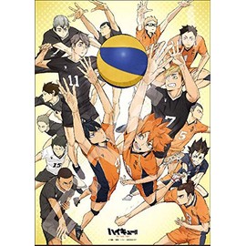 Ensky 1000c-09 1,000 Piece Compact Jigsaw Puzzle, Haikyuu!! TO THE TOP Opening !! 15.0 x 20.9 inches (380 x 530 mm)
