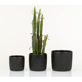 Scheurich Set of 2 Solido Linea, Ceramic Plant Pot, Colour: Ebano, 6.9 inches Diameter, 6.3 inches Height, 0.8 gl.