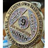 9 Month AA Medallion Reflex Funfetti Birthday Glitter Gold Sobriety
