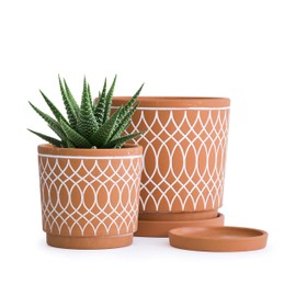 Set of 2 Terracotta Pots, 4 Inch and 6 Inch, Planter Pots for Plants with Drainage Holes and Saucers, Terracotta/White, 31-958-C-1