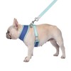 Now House for Pets by Jonathan Adler Terrazzo Reversible Harness,