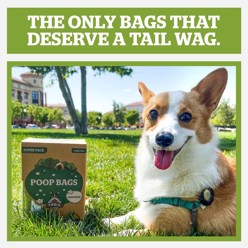Pogi's 300 Unscented Dog Poop Bags with Handles - Earth-Friendly,
