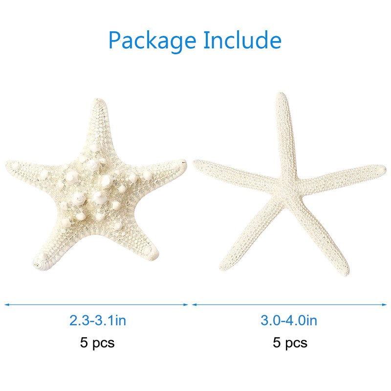 SKOOLOVE 10PCS Natural Starfish Mixed, Finger Starfish and Bread Starfish