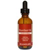 Plantlife Hazelnut Oil 2 oz - 100% Pure Cold Pressed