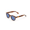 X-LAB Unisex Moscot Style Sunglasses 8004, Dark Havana/Sky Blue