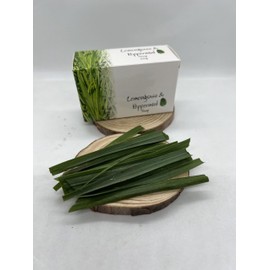 Tagua Holder with 7 Palo Santo Wood & Resin Premium Sticks (Tagua 7 Sticks)