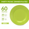 Plastic Plates Disposable 60 PCS, Heavy Duty 30 Dinner Plates