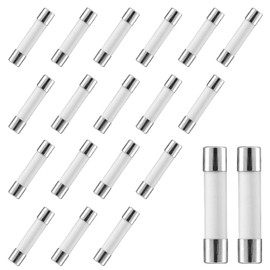 Litoexpe 20-Pack 20 amp Slow-Blow Time Delay Fuses, 20A 250V Ceramic Fuses for Microwave and Other Hi Power Loads Electrical Equipment, 6 x 30 mm