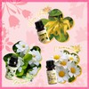 SALKING Floral Essential Oils Set, Premium Pure and Natural Essential Oils,