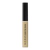 Bissú Nuevo Corrector Liquido Con Acido Hialurónico (07 Coyota)