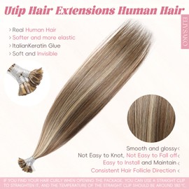 Eliysako Professional U Tip Hair Extensions Real Human Hair #P4/16 Light Blonde Mix Dark Brown 18inch 40G Heat Resistant Remy Extensions with U Tip Human Hair Extensions for Daily Styling