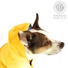 American Kennel Club Yellow Dog Raincoat for Pets