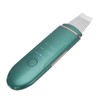 EMS Ultrasonic Skin Scrubber Blackhead Pimple Removal Lifting Ion Pore