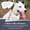 Lucky Love Dog Martingale Dog Collar - Adjustable, No-Slip, Durable,