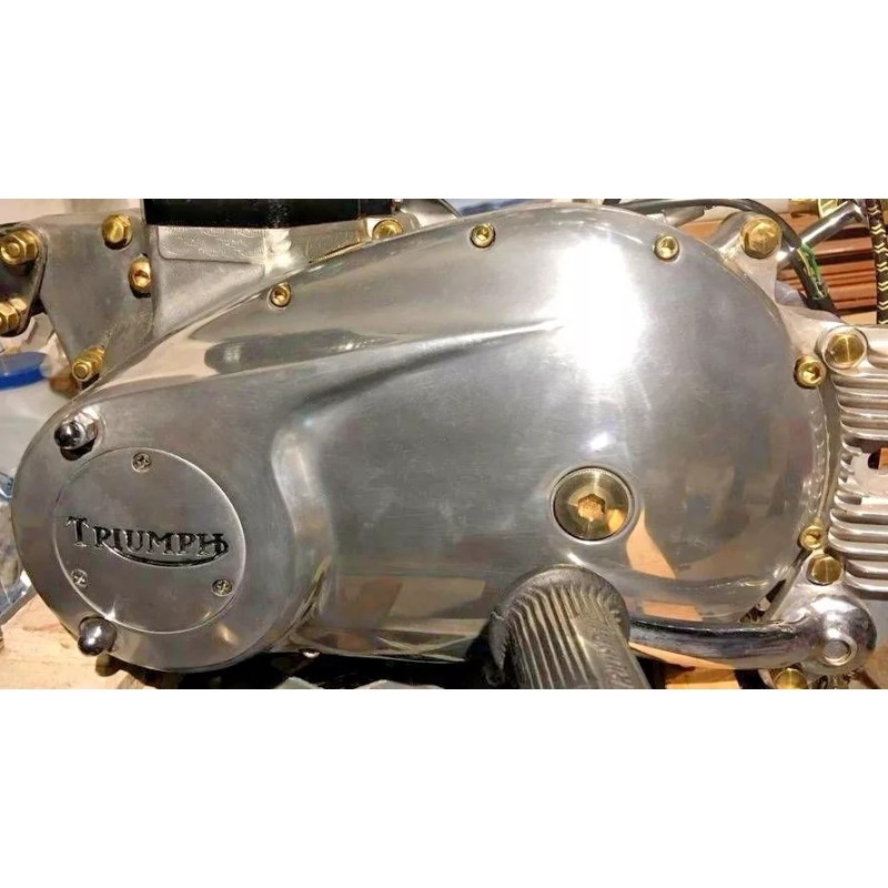 working class choppers VINTAGE TRIUMPH TWIN BRASS ENGINE ALLEN BOLT