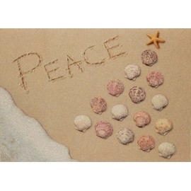 Cape Shore Embellished Christmas Cards - Peace, 7" x 5", Foil