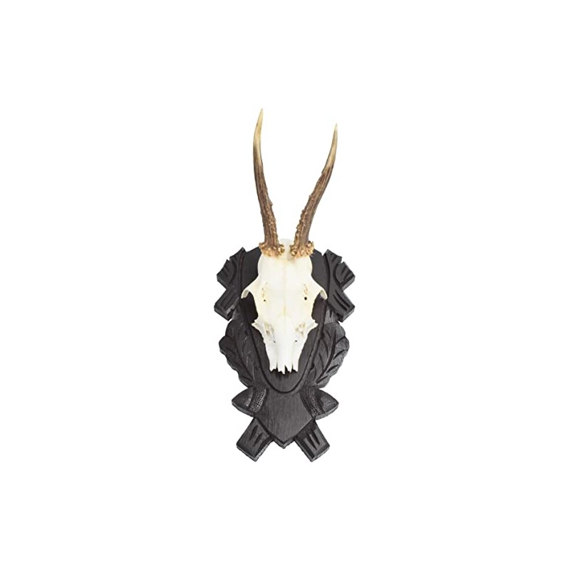 Horns Board Roe Roe Buck Made of Oak Wood with