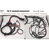 WZruibo T56 DBC Standalone Harness Compatible with 1997-2006 700R4 T56
