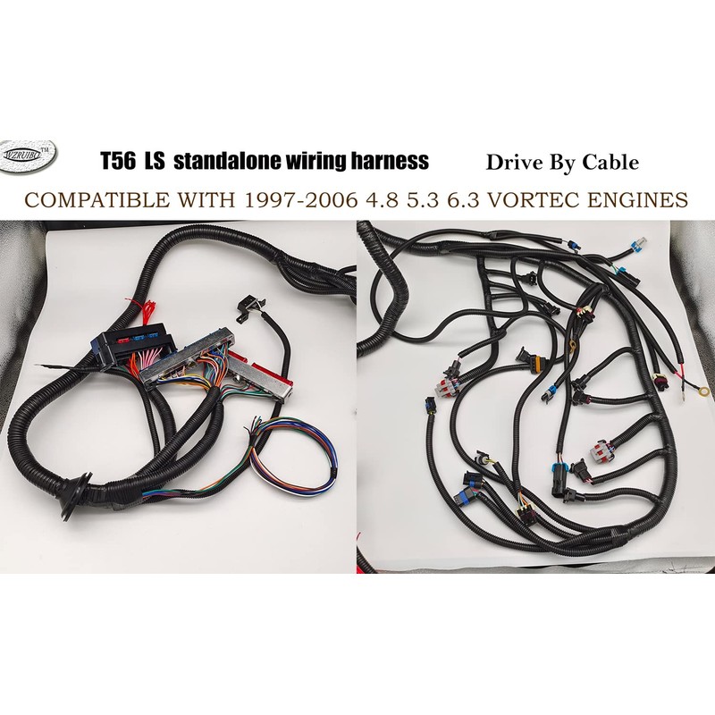 WZruibo T56 DBC Standalone Harness Compatible with 1997-2006 700R4 T56
