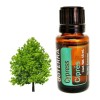 Doterra Aceite Esencial De Ciprés Doterra 15 Ml