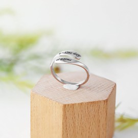 AMBCESSER 925 Sterling Silver Inspirational Adjustable Rings - Personality Encouragement Jewelry Gift For Women (One day at a time)