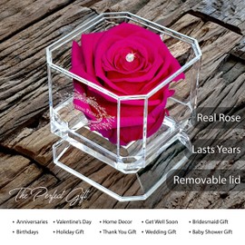 A 100% Real Rose That Lasts Years - Eternal Petals, Handmade in UK – White Gold Solo with A Multicolor Crystal (Hot Pink)