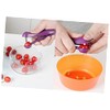 PRETYZOOM Salad Tool Set Cherry Pitter Olive Pitter Cherry Corer