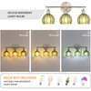 Shenmoyl Bathroom Light Fixtures, 3-Light Vanity wall Light Over Mirror