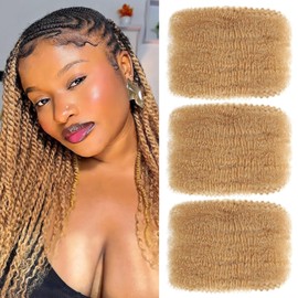 Springy Afro Kinkys Bulk Human Hair for Dreadlock Extensions Marley Twist Braiding Hair for Extending Mini Twist Springy Twist Human Hair Bulk for Repair Locs (27#, 8 Inch (Pack of 1))