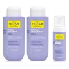 Yellow Silver Purple Shampoo & Acond 500ml & Leave In