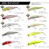 Daiwa R90FSSR Morethan Crosswake Sea Bass Lure, CH Inakko