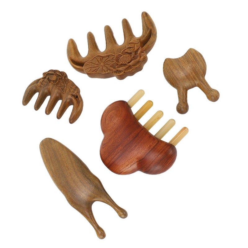 Meridian Massage Tool Kit Wood 3pcs Meridian Comb 2pcs Nose