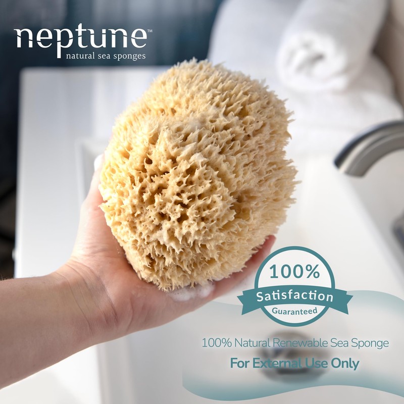 Neptune Sea Wool Sponge – Natural Mediterranean Bath Sponge, Hand-Cut,