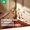 Dominant Liquid Ant Bait, Borax-Based Eliminator, Super Sweet Attractant, Controls