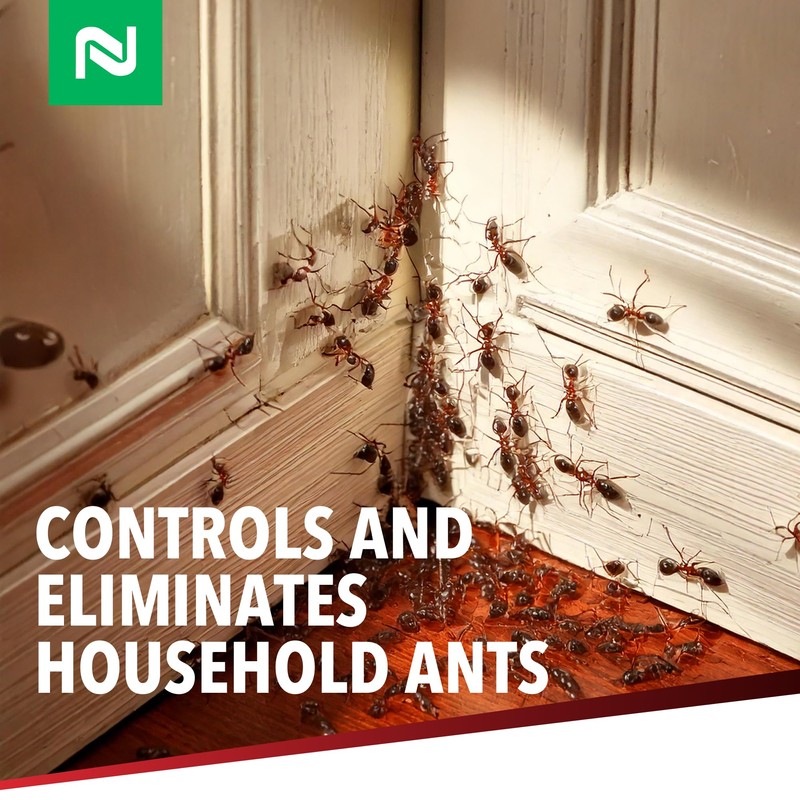 Dominant Liquid Ant Bait, Borax-Based Eliminator, Super Sweet Attractant, Controls